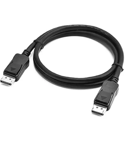 Display Port Cable (T480)
