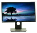 Dell P2217HB 22" Monitor
